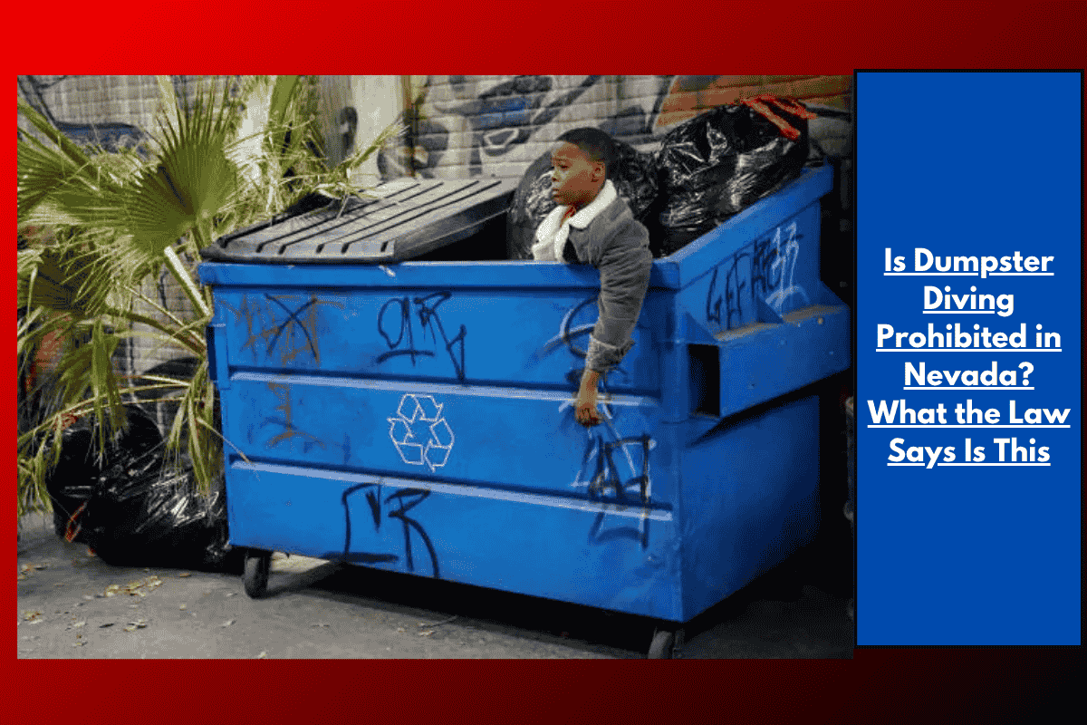 Is Dumpster Diving Prohibited in Nevada? What the Law Says Is This