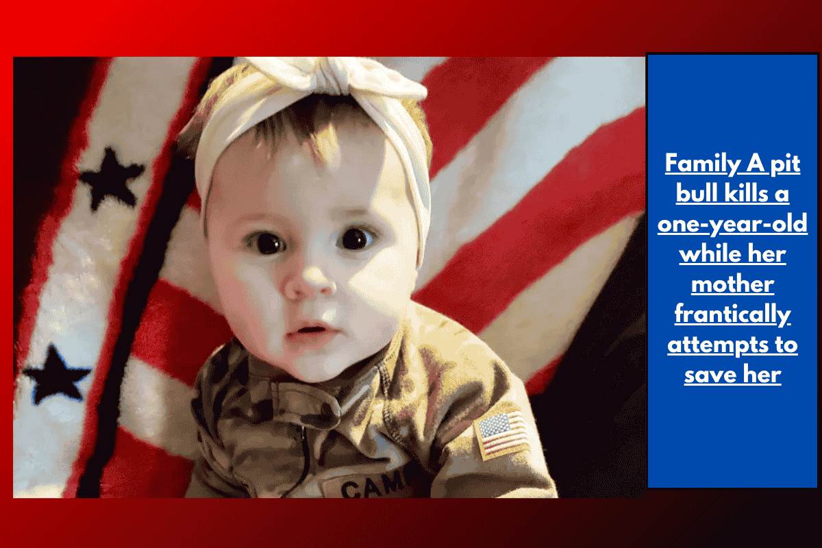 Family A pit bull kills a one-year-old while her mother frantically attempts to save her