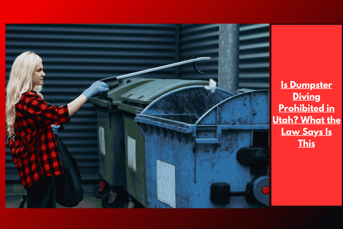 Is Dumpster Diving Prohibited in Utah? What the Law Says Is This