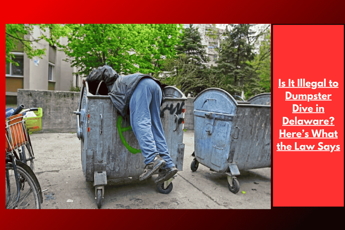 Is It Illegal to Dumpster Dive in Delaware? Here’s What the Law Says