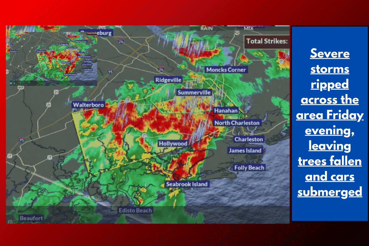 Severe storms ripped across the area Friday evening, leaving trees fallen and cars submerged