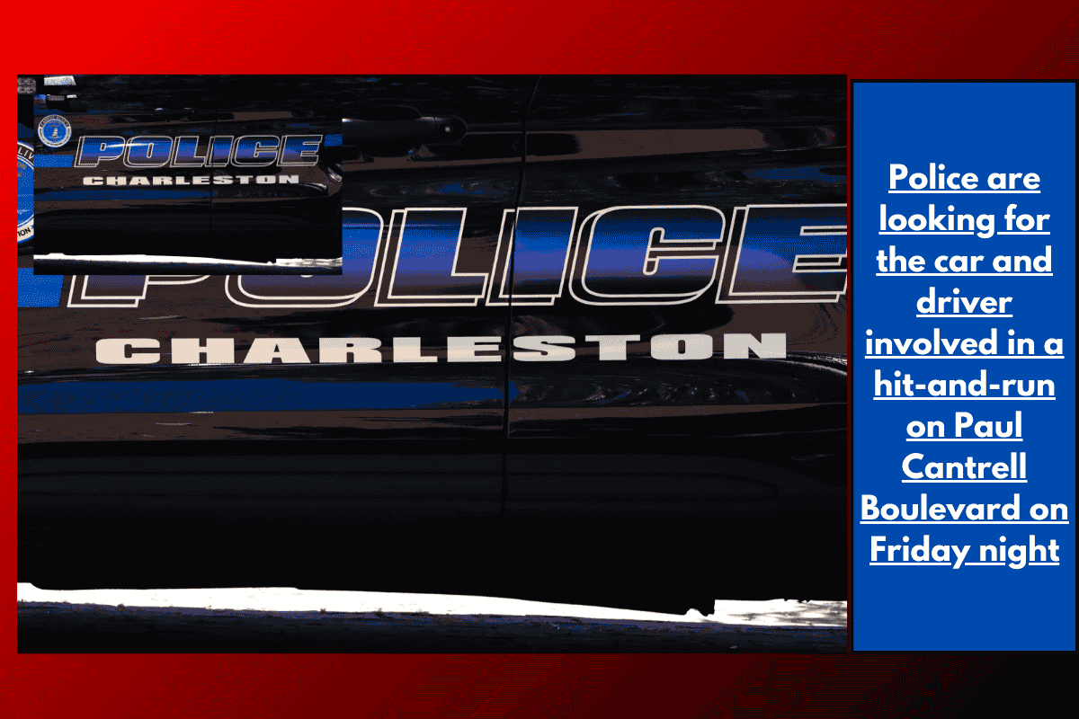 Police are looking for the car and driver involved in a hit-and-run on Paul Cantrell Boulevard on Friday night