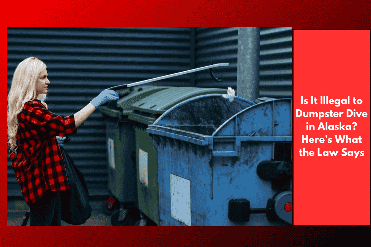 Is It Illegal to Dumpster Dive in Alaska? Here’s What the Law Says