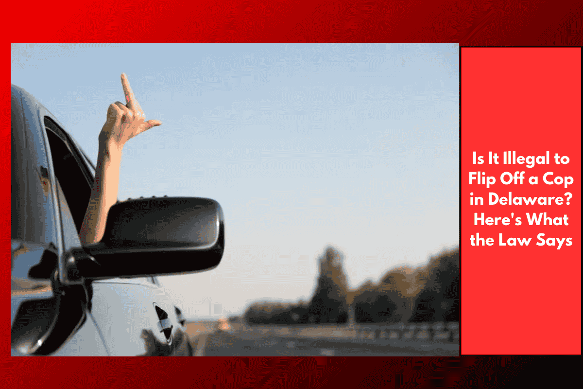 Is It Illegal to Flip Off a Cop in Delaware? Here's What the Law Says
