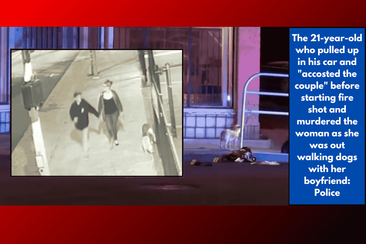 The 21-year-old who pulled up in his car and "accosted the couple" before starting fire shot and murdered the woman as she was out walking dogs with her boyfriend: Police