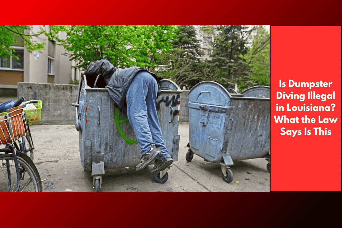 Is Dumpster Diving Illegal in Louisiana? What the Law Says Is This
