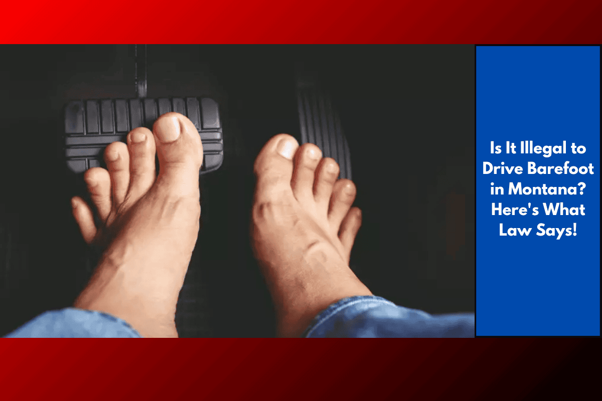 Is It Illegal to Drive Barefoot in Montana? Here's What Law Says!