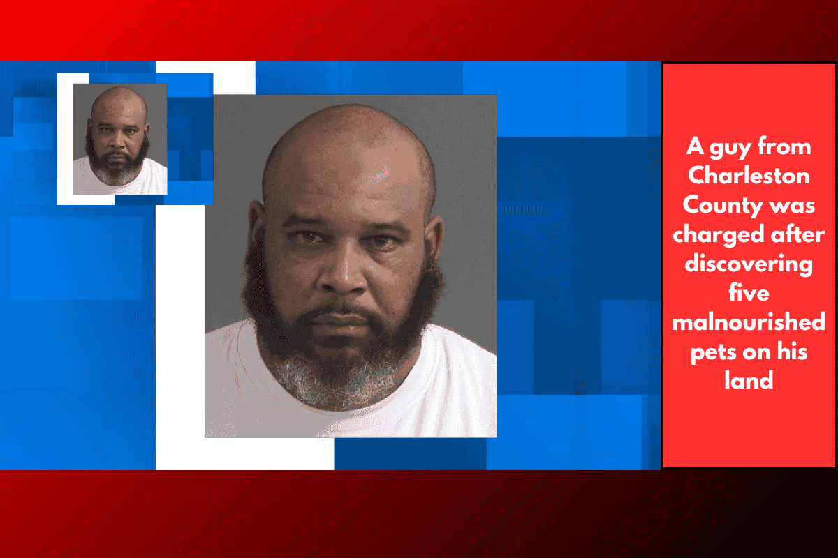 A guy from Charleston County was charged after discovering five malnourished pets on his land
