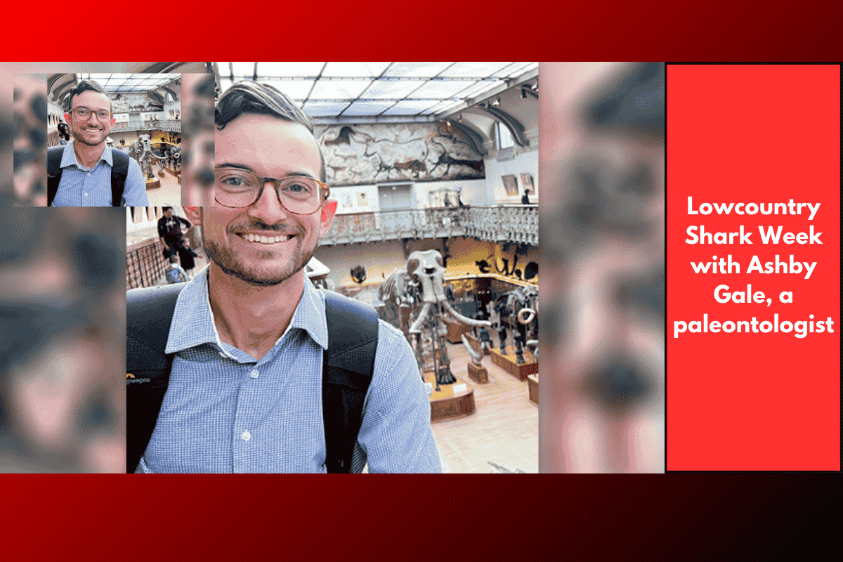 Lowcountry Shark Week with Ashby Gale, a paleontologist