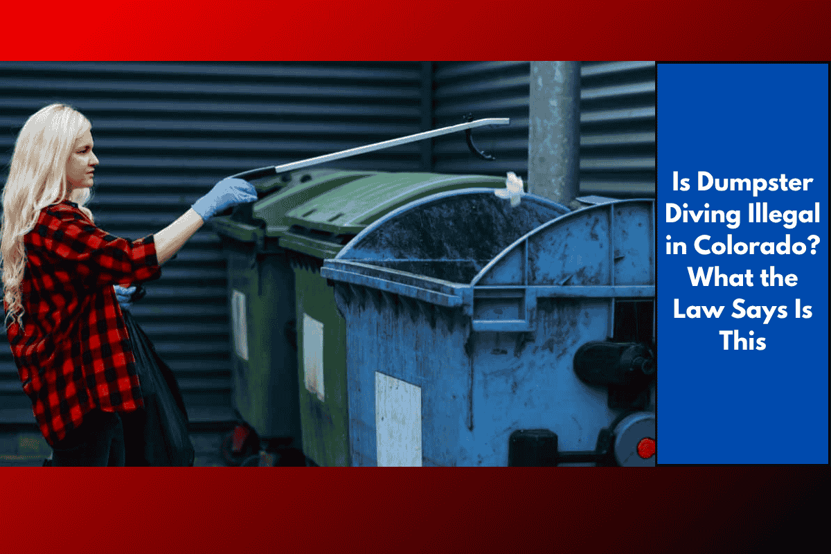 Is Dumpster Diving Illegal in Colorado? What the Law Says Is This