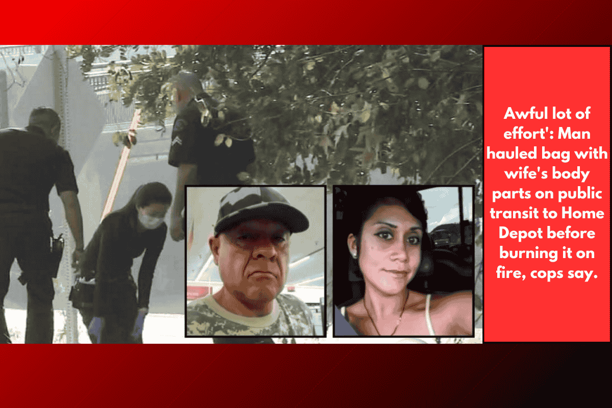 Awful lot of effort': Man hauled bag with wife's body parts on public transit to Home Depot before burning it on fire, cops say.