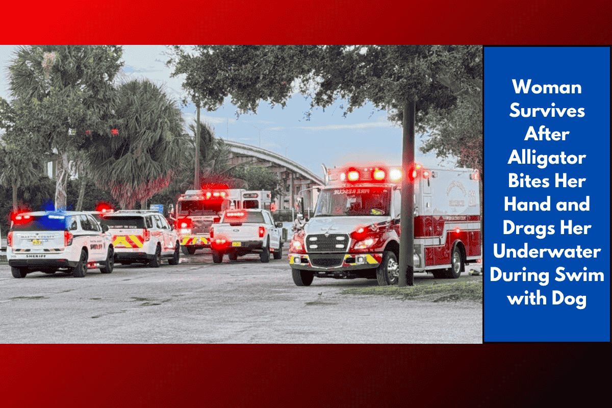 Woman Survives After Alligator Bites Her Hand and Drags Her Underwater During Swim with Dog