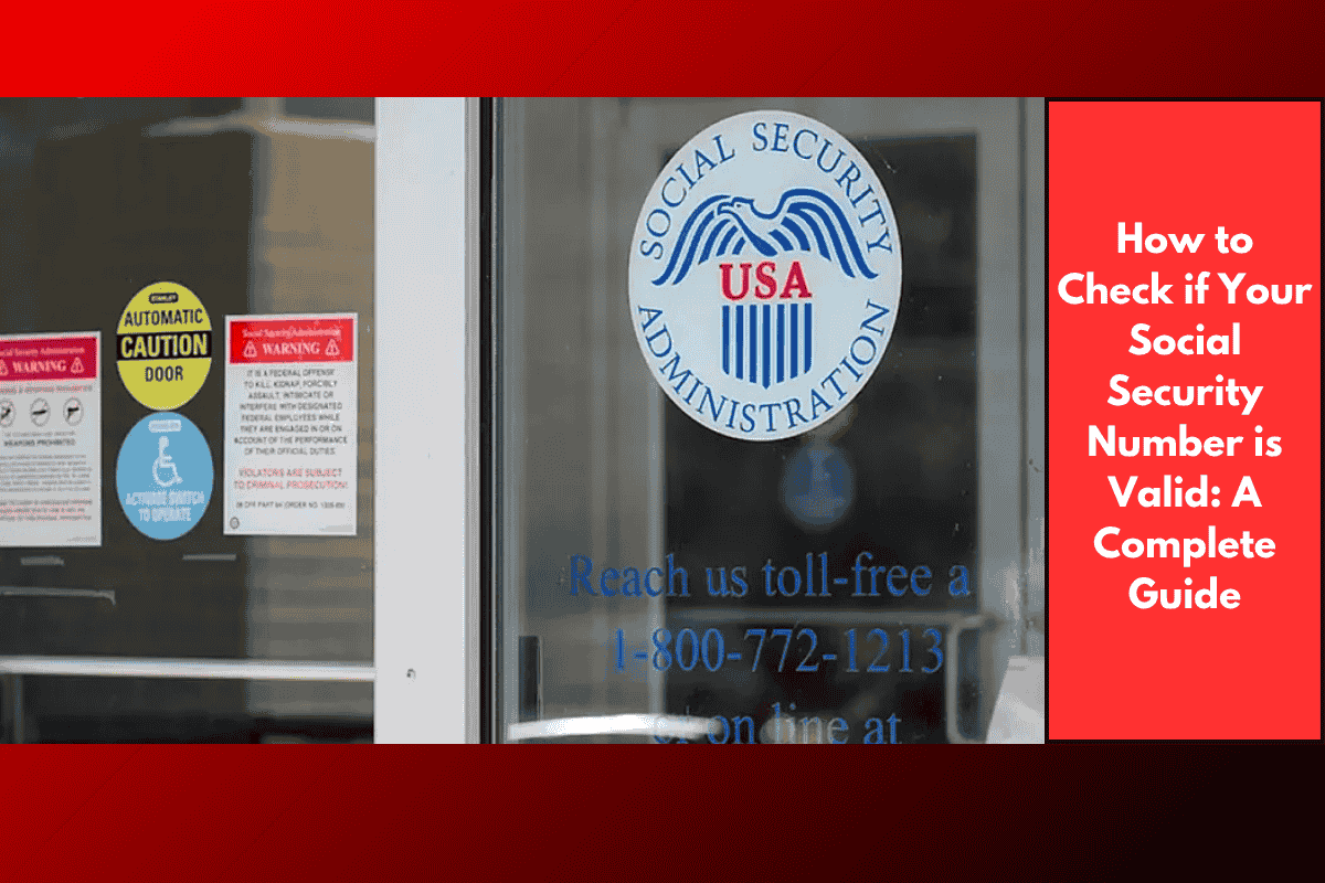 How to Check if Your Social Security Number is Valid: A Complete Guide