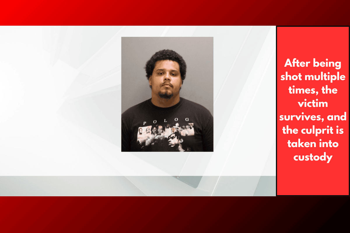After being shot multiple times, the victim survives, and the culprit is taken into custody