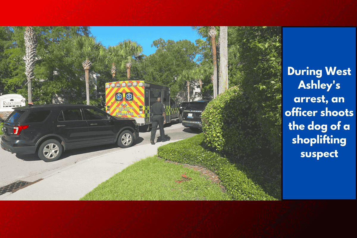 During West Ashley's arrest, an officer shoots the dog of a shoplifting suspect