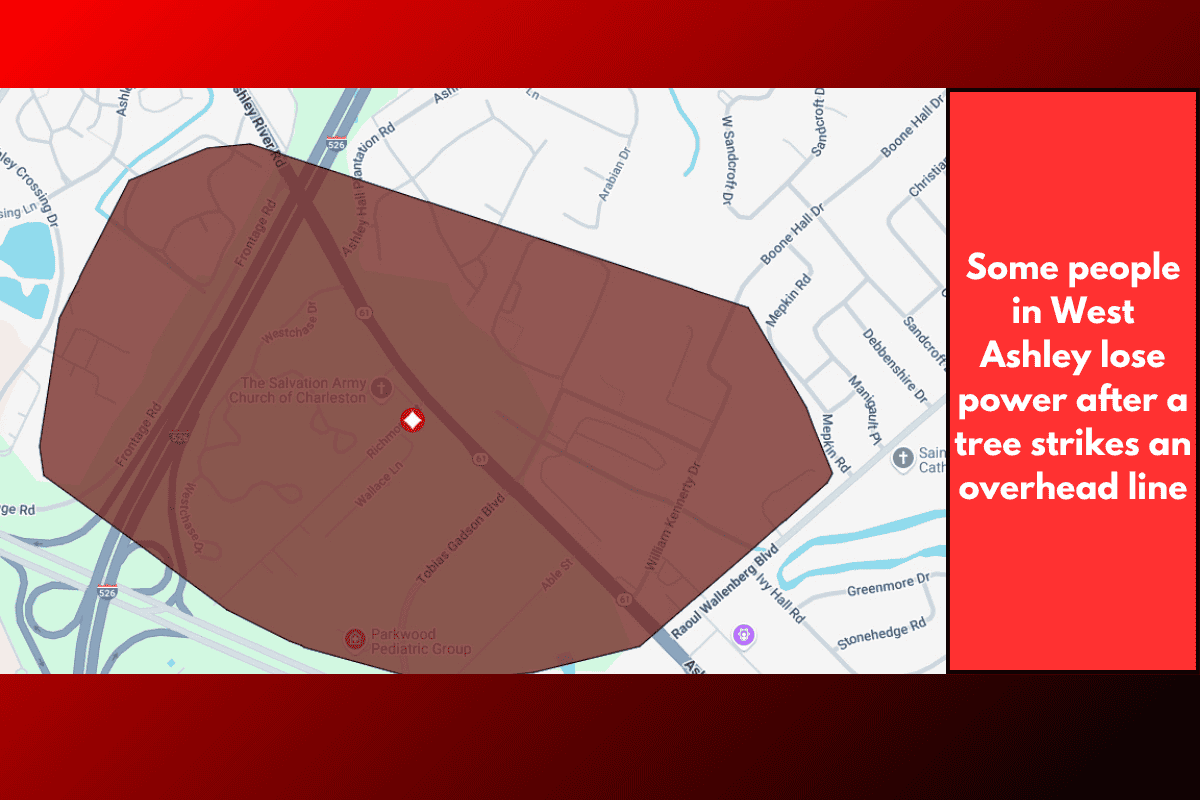 Some people in West Ashley lose power after a tree strikes an overhead line