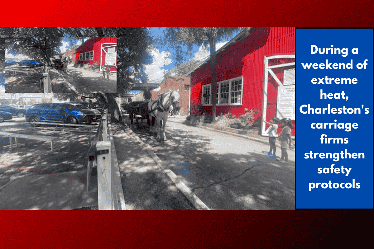 During a weekend of extreme heat, Charleston's carriage firms strengthen safety protocols