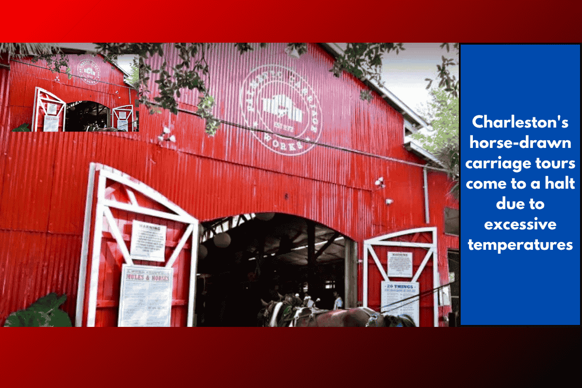 Charleston's horse-drawn carriage tours come to a halt due to excessive temperatures