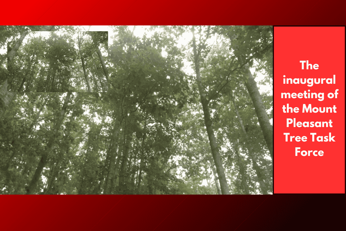 The inaugural meeting of the Mount Pleasant Tree Task Force