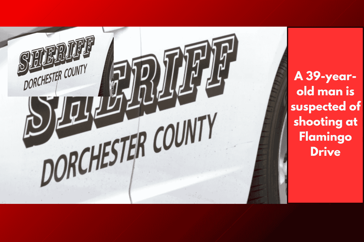 A 39-year-old man is suspected of shooting at Flamingo Drive