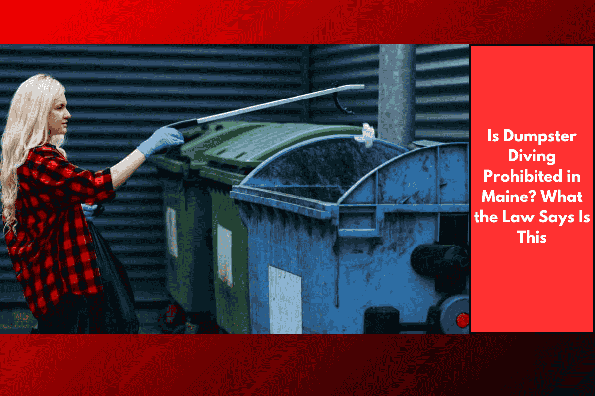 Is Dumpster Diving Prohibited in Maine? What the Law Says Is This