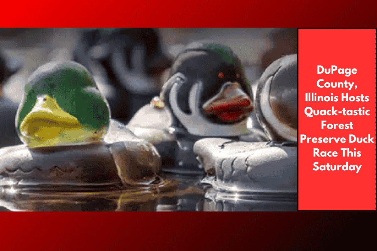 DuPage County, Illinois Hosts Quack-tastic Forest Preserve Duck Race This Saturday