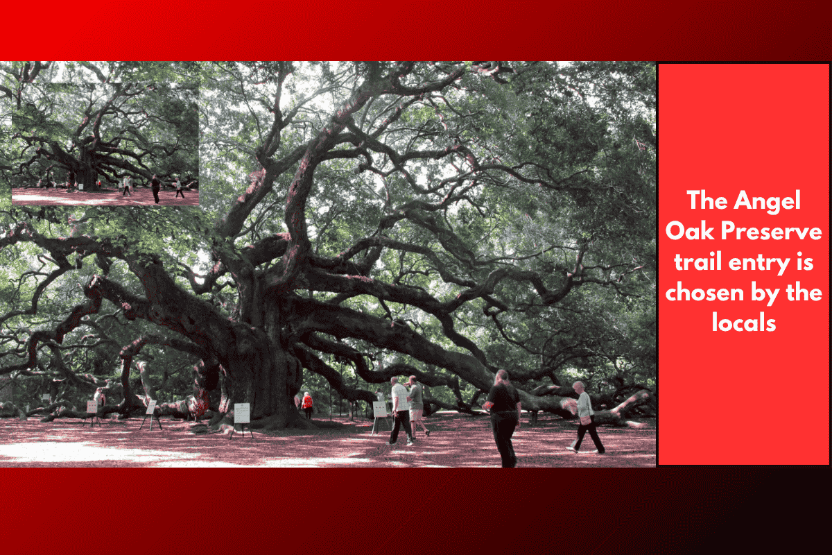 The Angel Oak Preserve trail entry is chosen by the locals