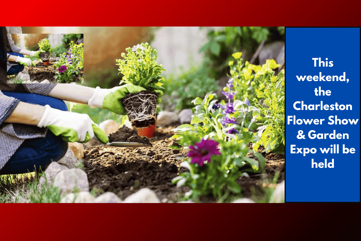 This weekend, the Charleston Flower Show & Garden Expo will be held