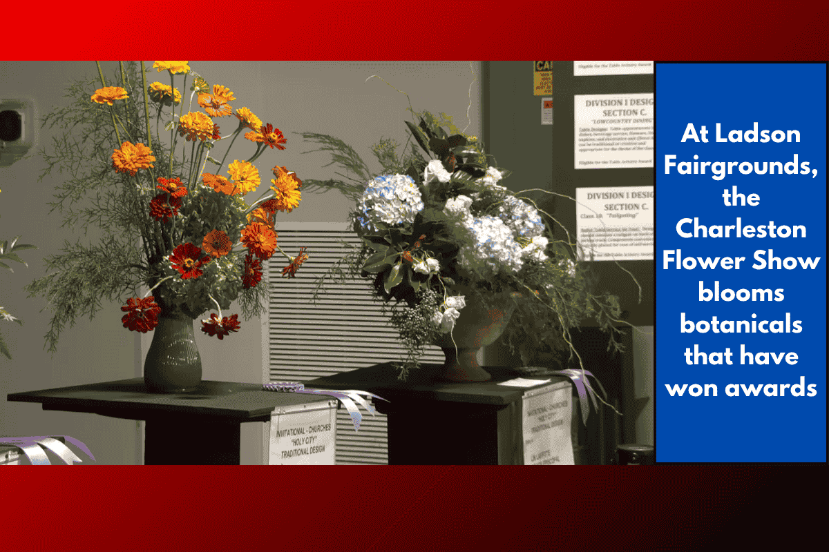 At Ladson Fairgrounds, the Charleston Flower Show blooms botanicals that have won awards