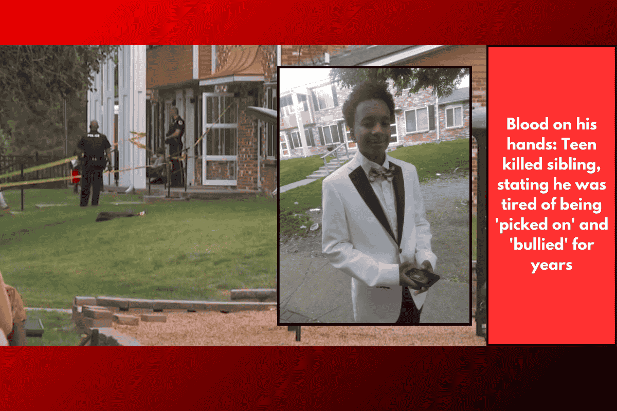 Blood on his hands: Teen killed sibling, stating he was tired of being 'picked on' and 'bullied' for years