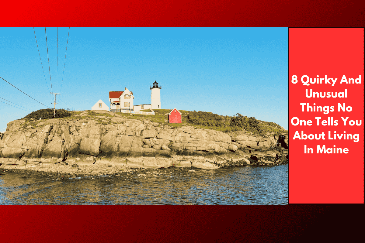 8 Quirky And Unusual Things No One Tells You About Living In Maine