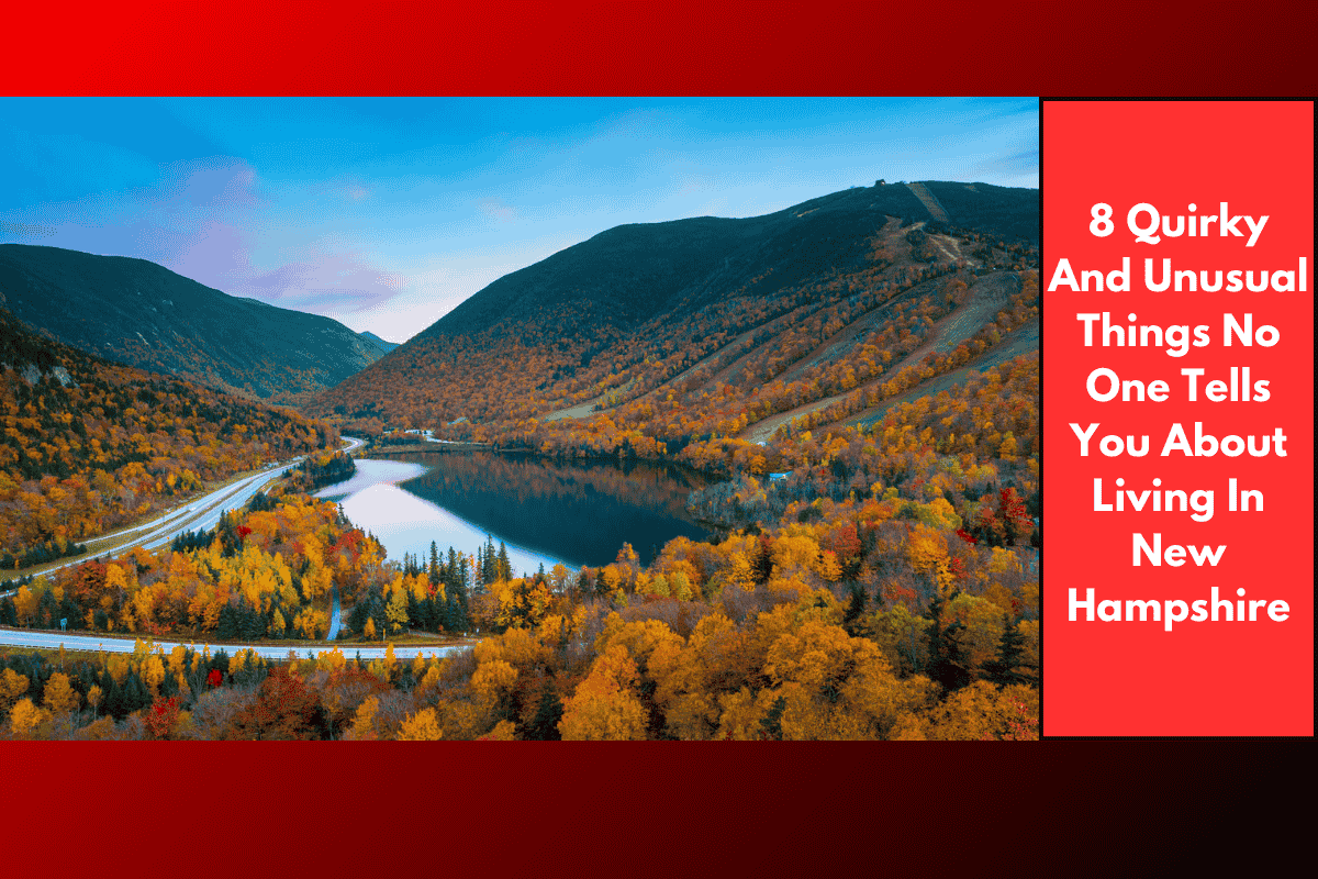8 Quirky And Unusual Things No One Tells You About Living In New Hampshire