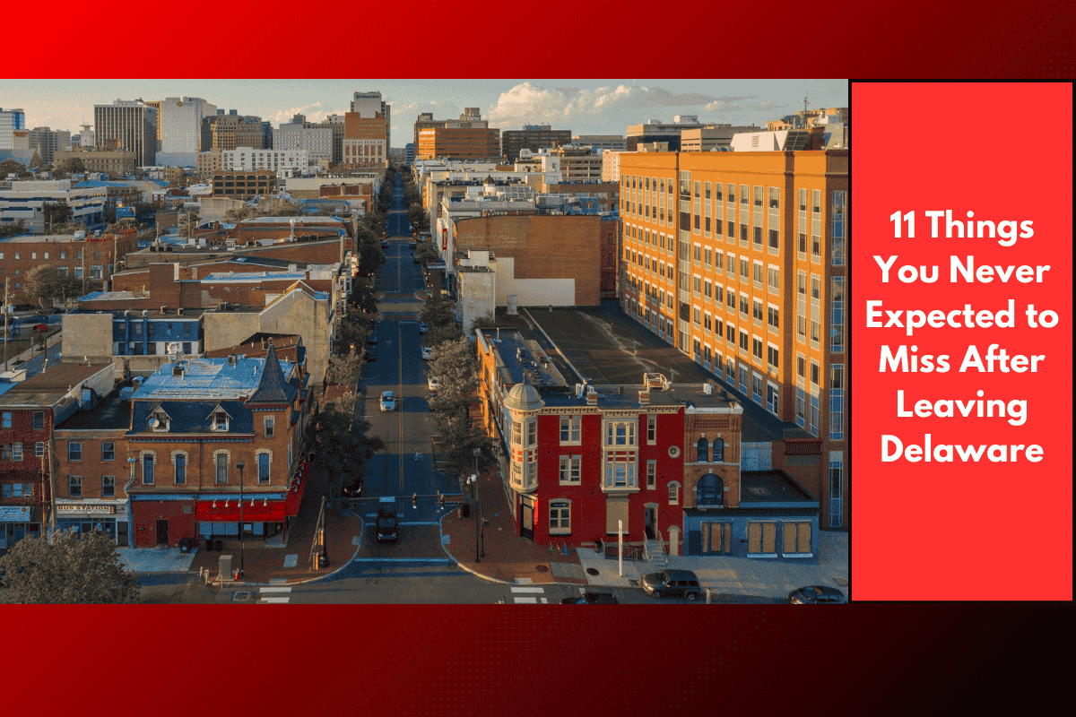 11 Things You Never Expected to Miss After Leaving Delaware