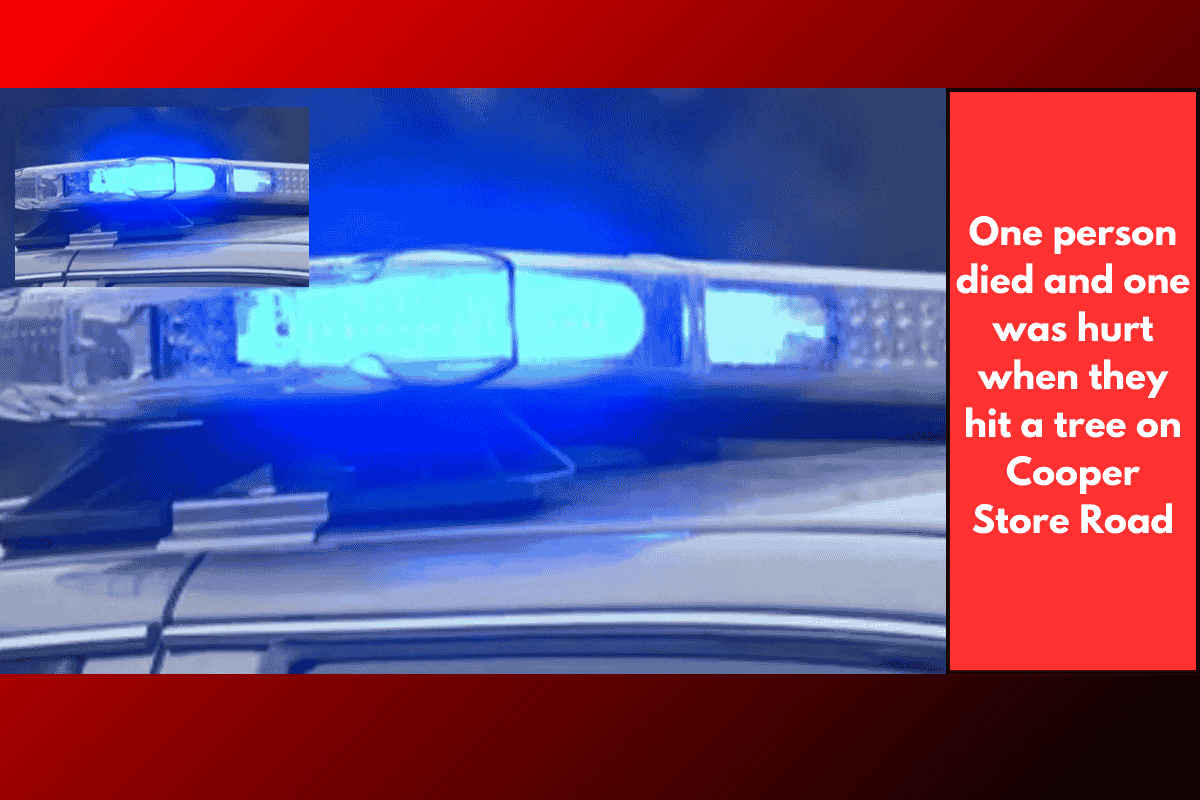 One person died and one was hurt when they hit a tree on Cooper Store Road