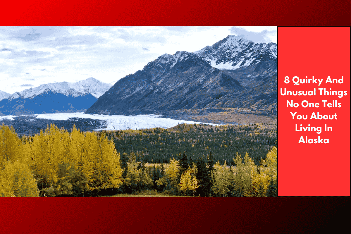 8 Quirky And Unusual Things No One Tells You About Living In Alaska