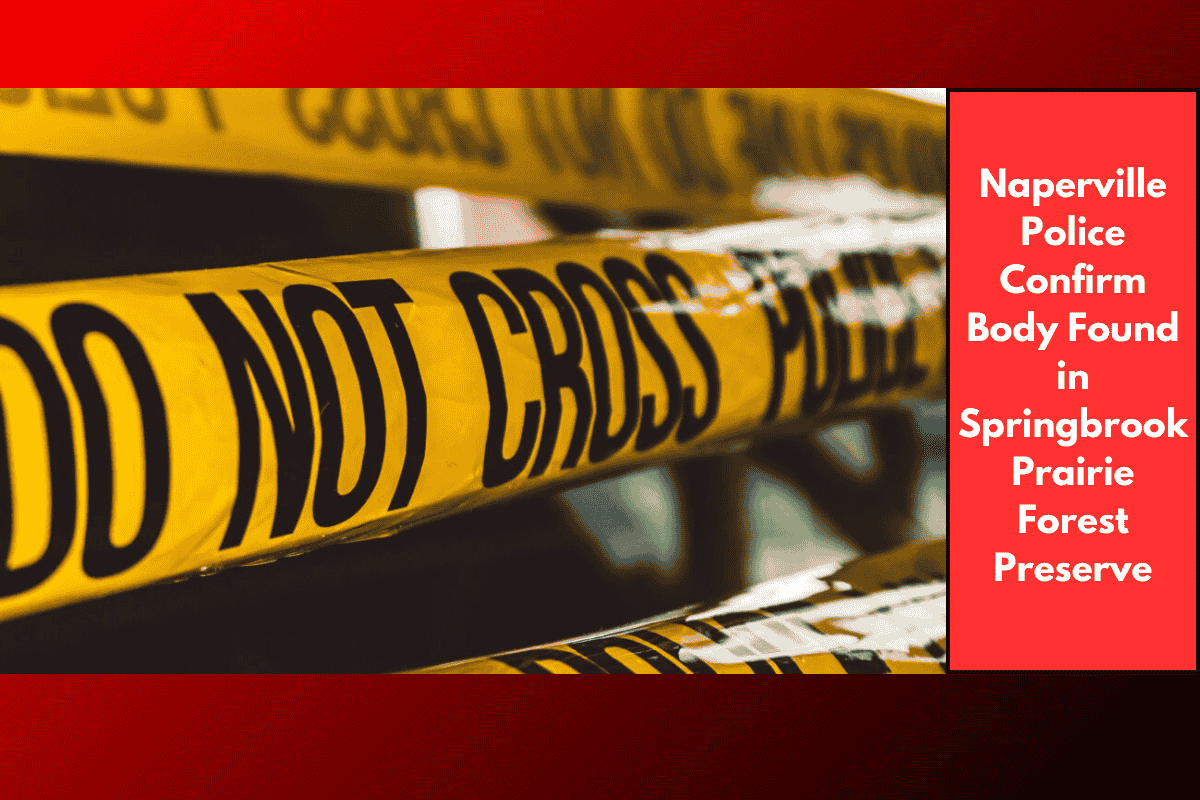 Naperville Police Confirm Body Found in Springbrook Prairie Forest Preserve