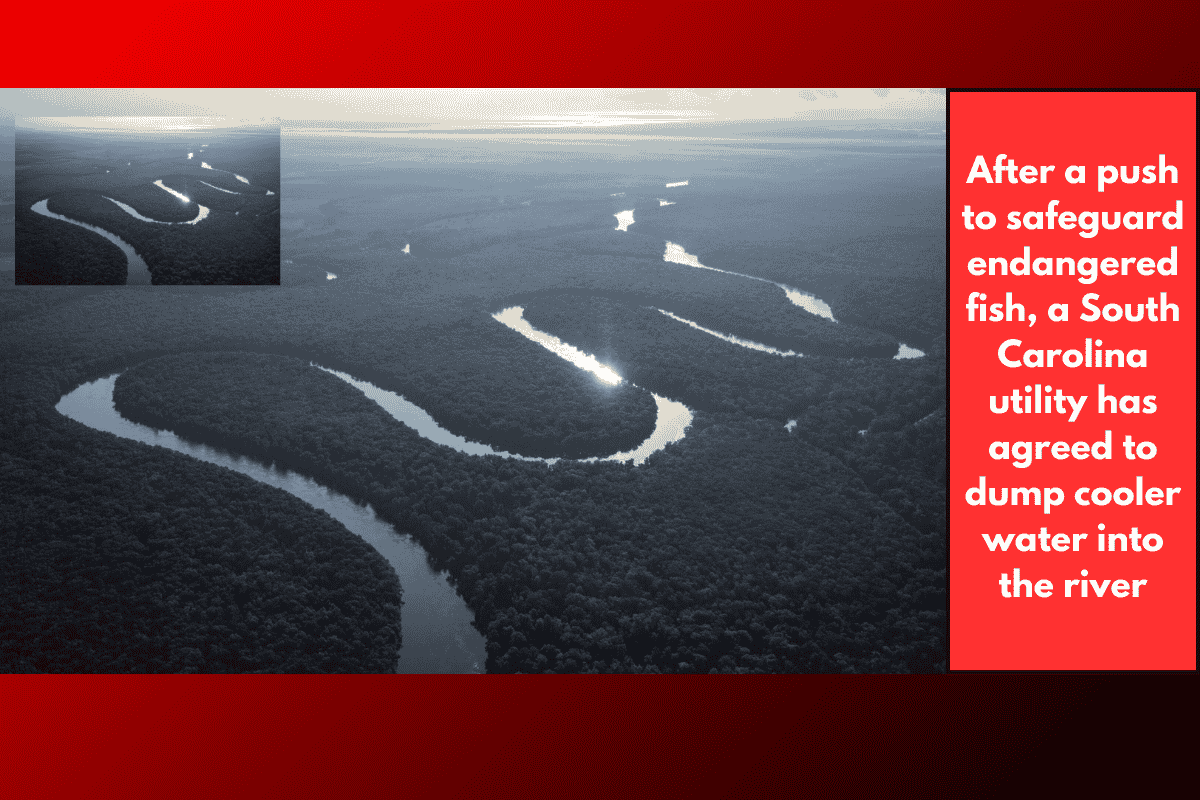 After a push to safeguard endangered fish, a South Carolina utility has agreed to dump cooler water into the river