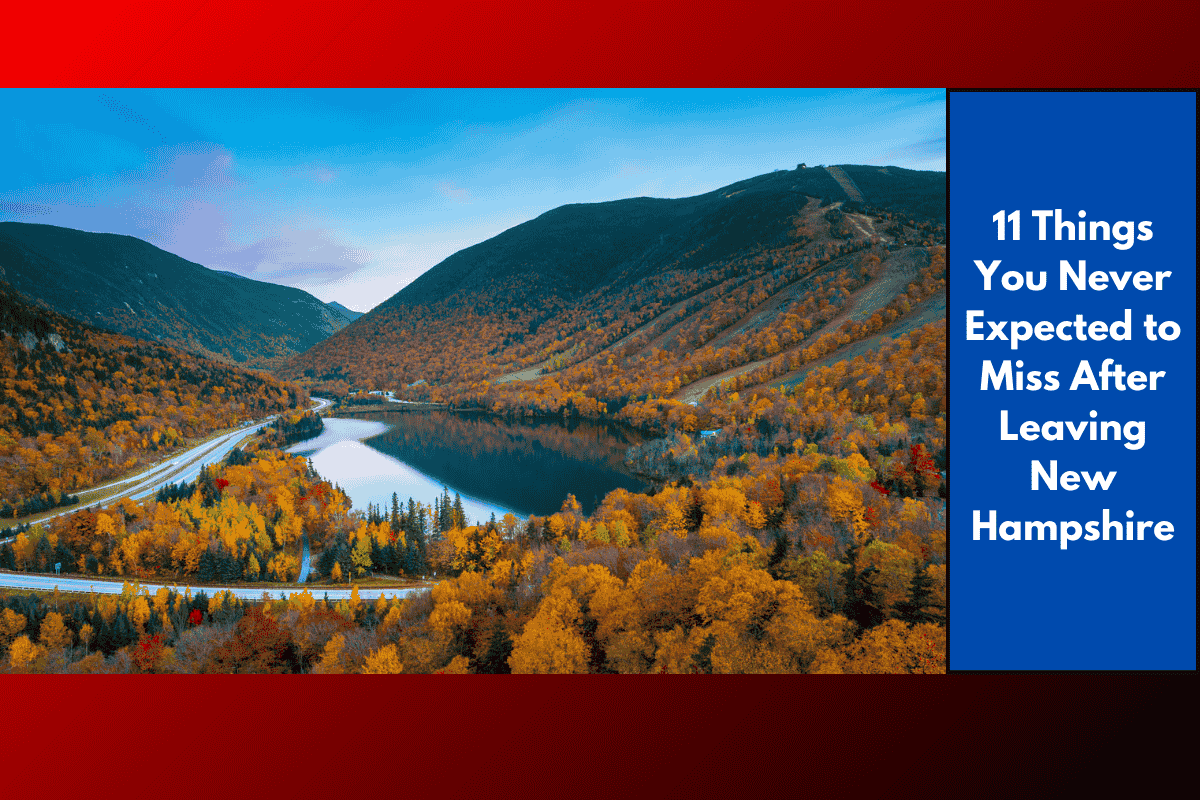 11 Things You Never Expected to Miss After Leaving New Hampshire
