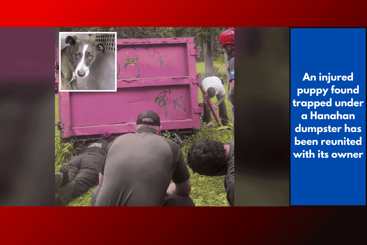 An injured puppy found trapped under a Hanahan dumpster has been reunited with its owner