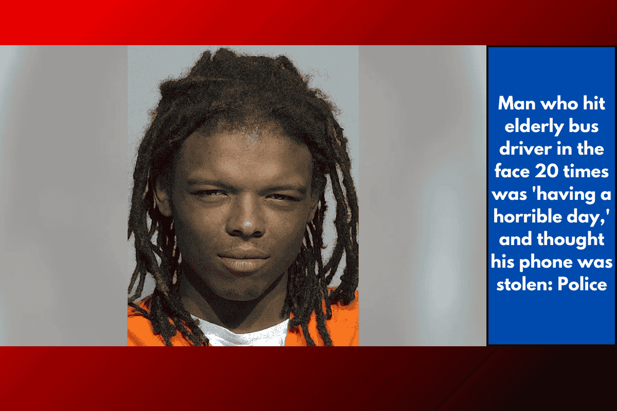 Man who hit elderly bus driver in the face 20 times was 'having a horrible day,' and thought his phone was stolen: Police