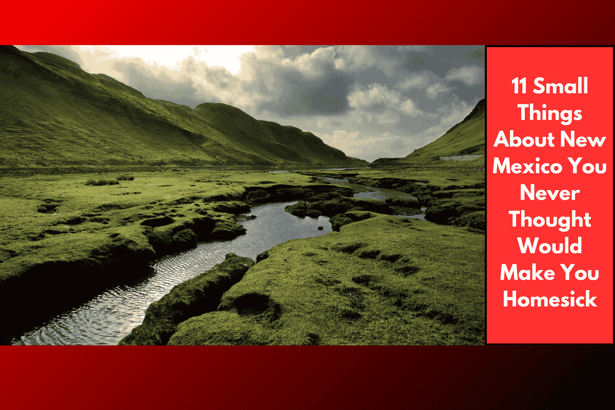 11 Small Things About New Mexico You Never Thought Would Make You Homesick