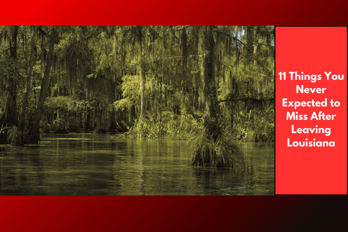 11 Things You Never Expected to Miss After Leaving Louisiana