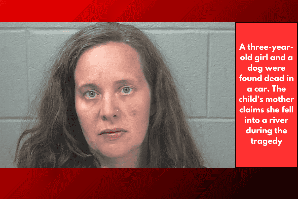 A three-year-old girl and a dog were found dead in a car. The child's mother claims she fell into a river during the tragedy