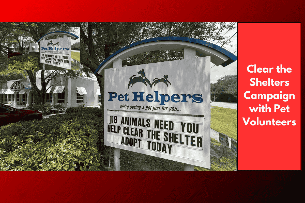 Clear the Shelters Campaign with Pet Volunteers