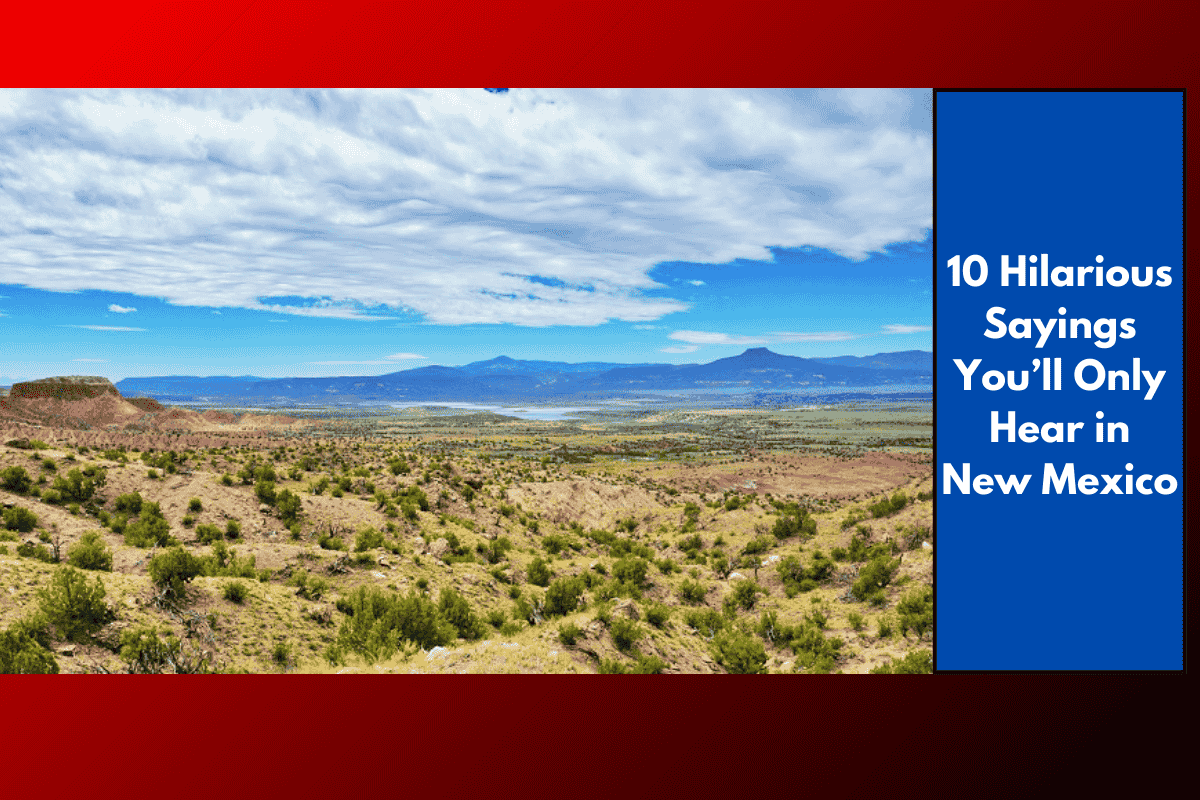 10 Hilarious Sayings You’ll Only Hear in New Mexico