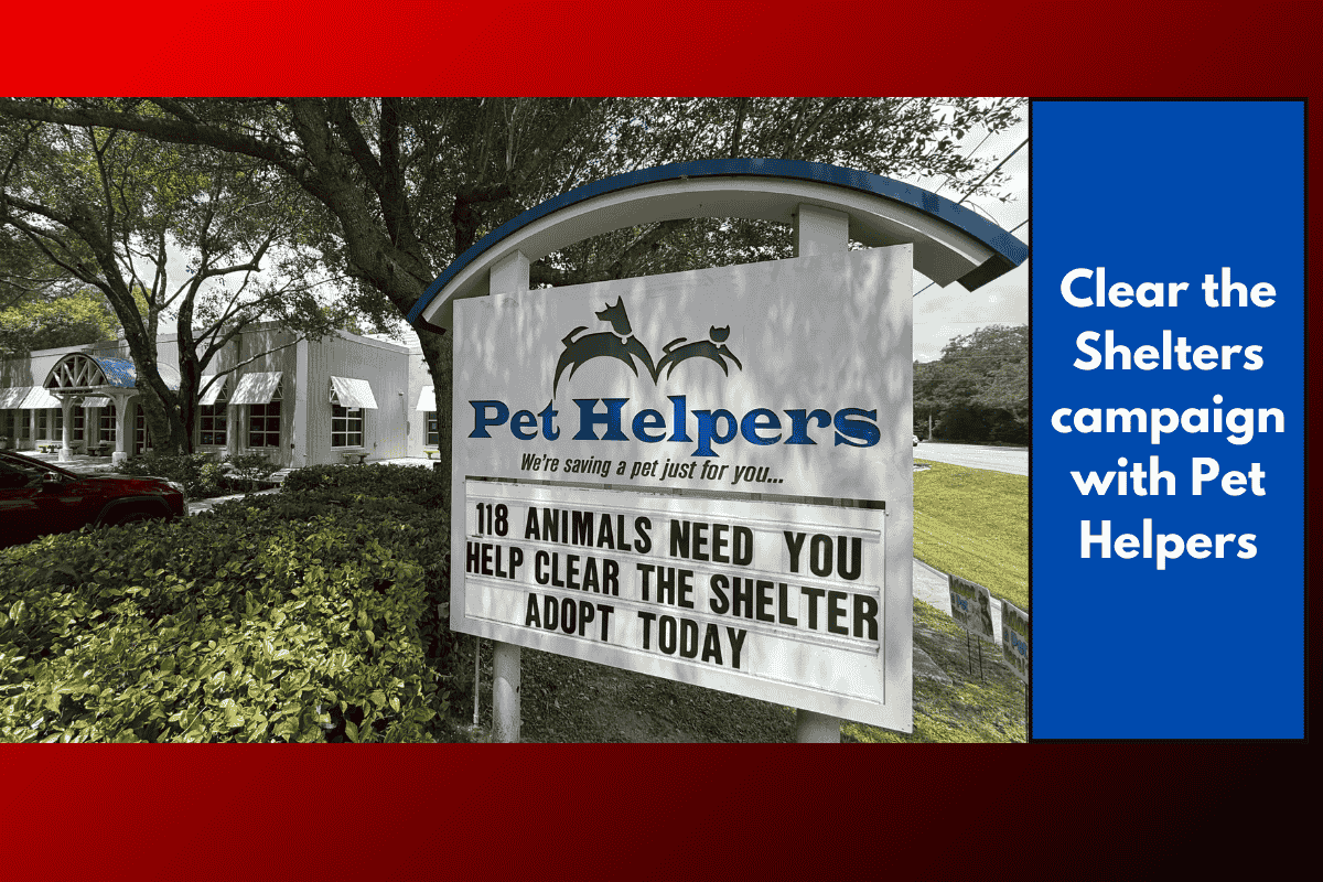 Clear the Shelters campaign with Pet Helpers