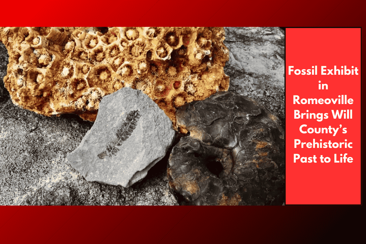 Fossil Exhibit in Romeoville Brings Will County’s Prehistoric Past to Life