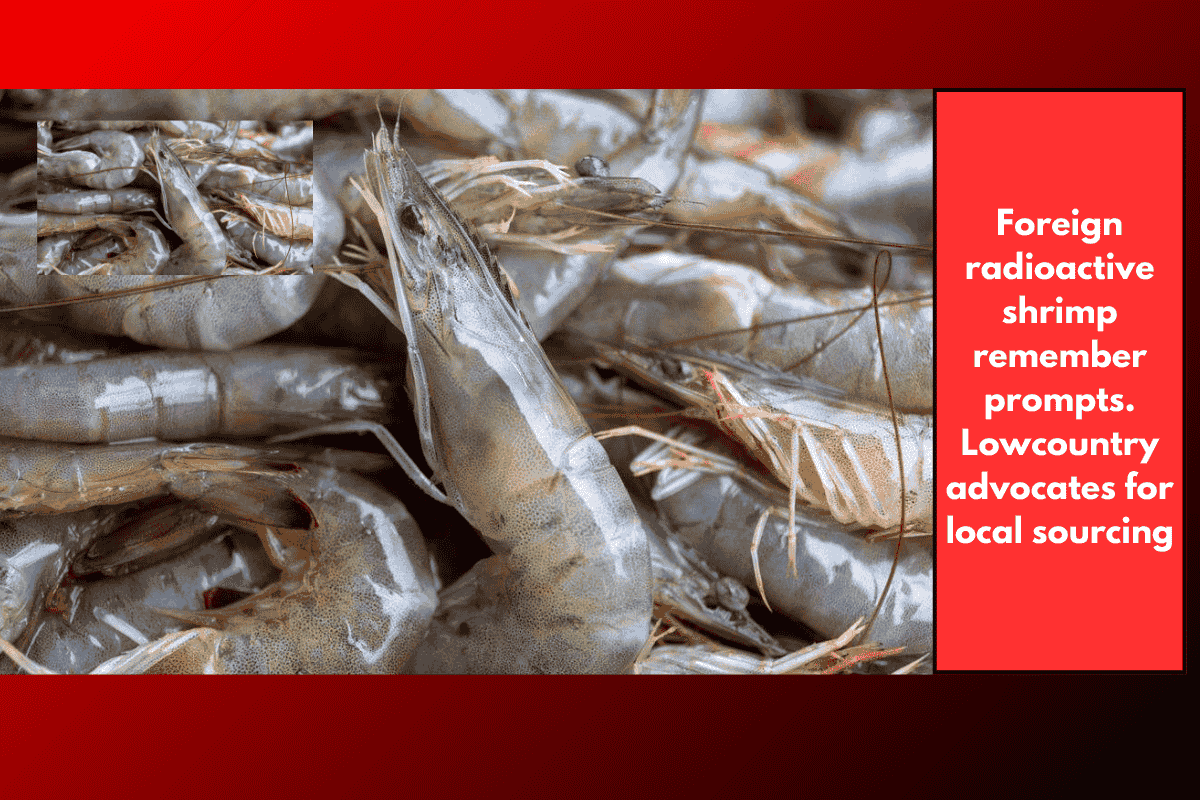 Foreign radioactive shrimp remember prompts. Lowcountry advocates for local sourcing