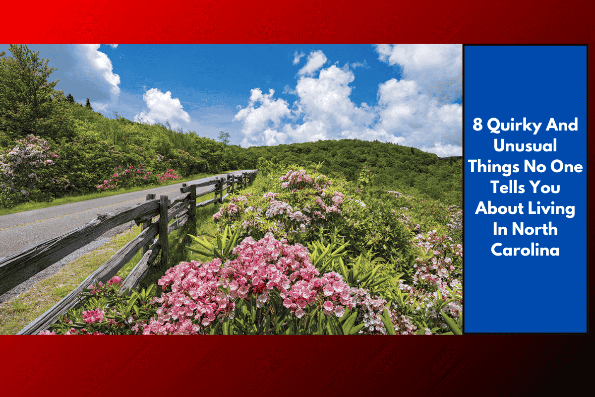 8 Quirky And Unusual Things No One Tells You About Living In North Carolina
