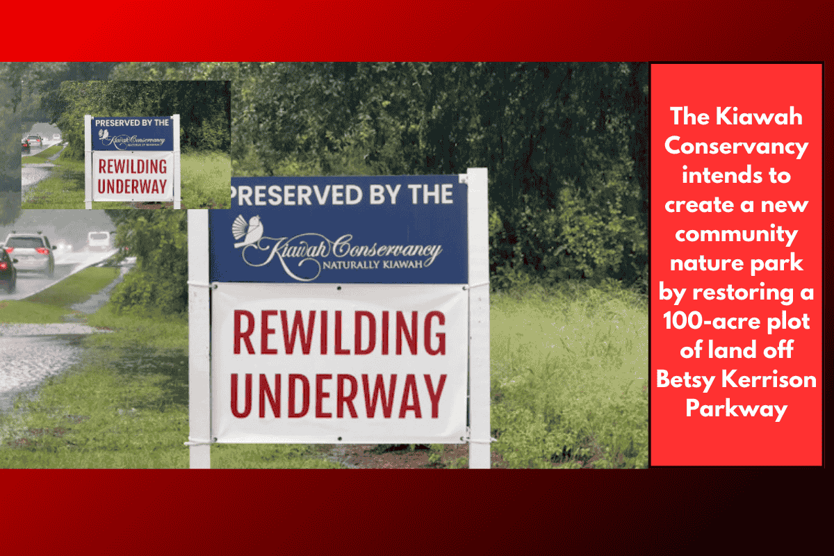 The Kiawah Conservancy intends to create a new community nature park by restoring a 100-acre plot of land off Betsy Kerrison Parkway
